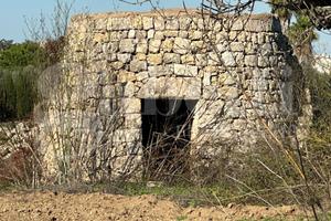 Terreno Agricolo Ugento [Cod. rif 3275972VRG]