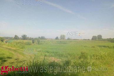 Terreno Agricolo Sant'Albano Stura [ASTA216VCG]