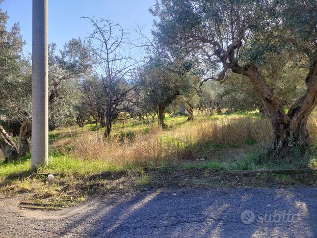 Terreno nelle vicinanze della Città