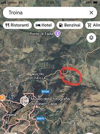 Terreno con alberi casetta pozzo