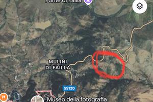 Terreno con alberi casetta pozzo