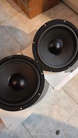 Woofer Ciare