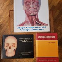 Mapa Geografico del Cuerpo Humano + omaggi