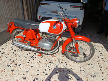 MV l 125 trl