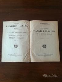 Anatomia fisiologia animali rurali