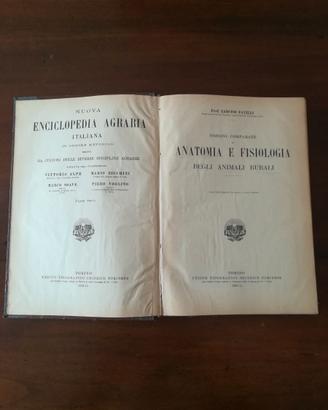 Anatomia fisiologia animali rurali