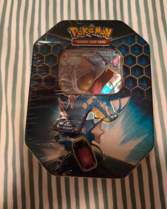tin pokemon