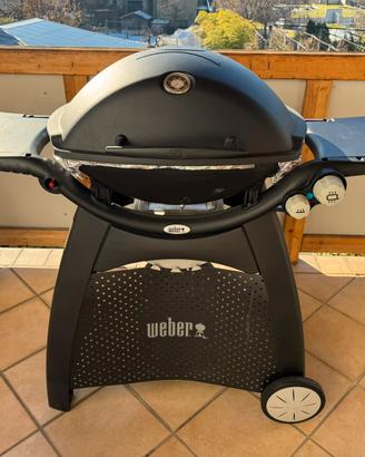 Weber Q3000 Grill