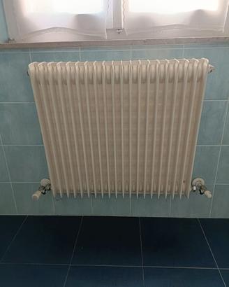 Termosifone Radiatore Acciaio Tubolare Bianco