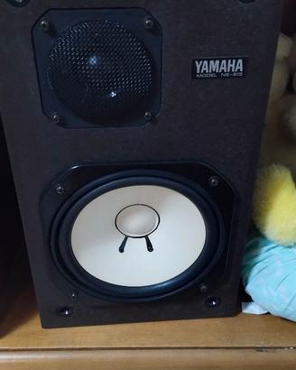 Casse Yamaha ns 615