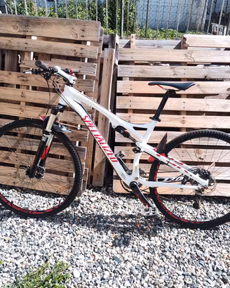 Specialized epic carbon tg.L