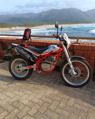 beta alp 200