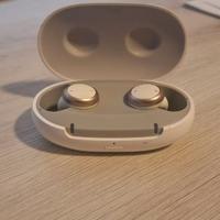 Auricolari Signia Active Pro