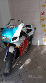 Gilera gfr replica 125