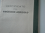 Immagine 5