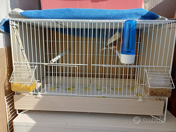 Gabbia con coppia canarini