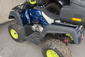 Quad Adly 250