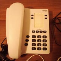 telefono fisso 
