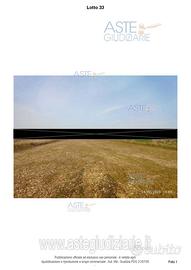 Terreno Agricolo Castiglione delle Stiviere