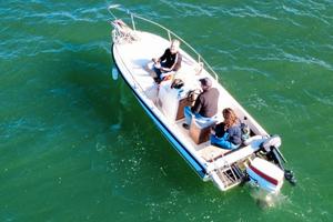 barca open 50 CV 2 tempi