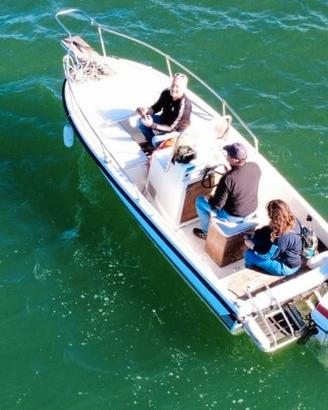 barca open 50 CV 2 tempi