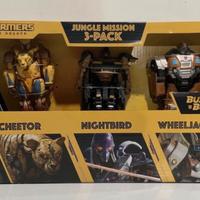 Set Transformers