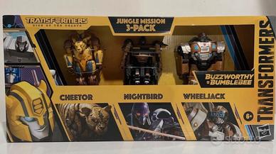 Set Transformers