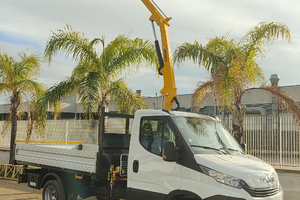 Iveco Daily con gru e ribaltabile