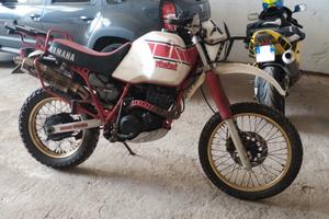 Yamaha XT 600 Tenéré;  34L (LEGGI BENE!)