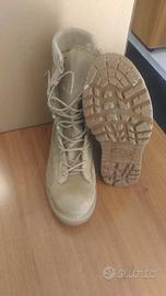 Anfibi desertici corcoran