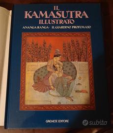 libro di arte indiana illustrato 
