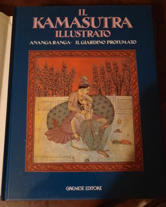 libro di arte indiana illustrato 