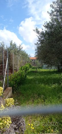 Lotto di terreno Agricolo