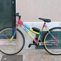 Mountain bike