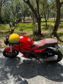 Ducati monster 600