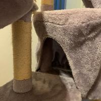 Gioco e Tiragraffi per gatto