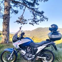 Honda transalp xl 700 v