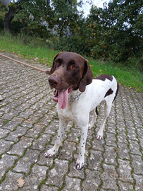 Magnifico cucciolone: uno spettacolo