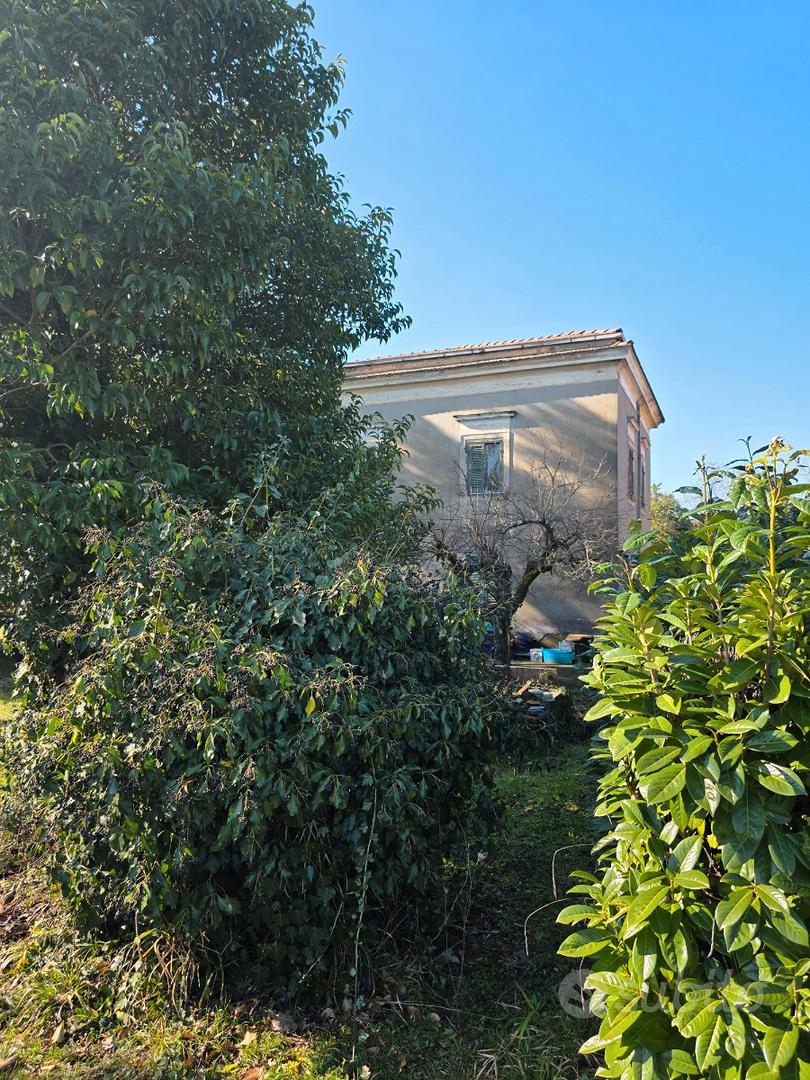 Casale da ristrutturare - Vista 4