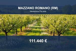 Immobile in asta di 41390 m² a Mazzano Romano