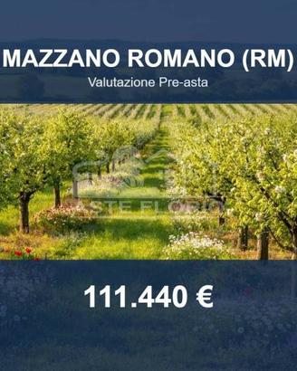 Immobile in asta di 41390 m² a Mazzano Romano