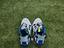Immagine 4