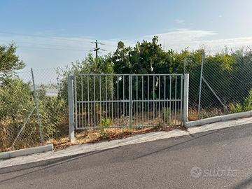 Uliveto a Bono Terreno agricolo di 1000mq