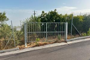Uliveto a Bono Terreno agricolo di 1000mq