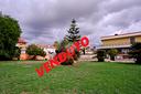 ter-residenziale-a-roma