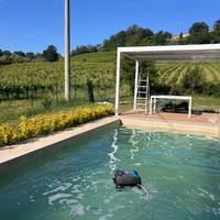 Robot piscina ZODIAC