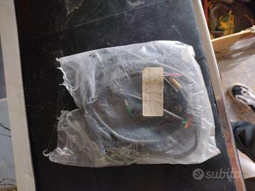 Atala Rizzato Califfone