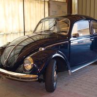 volkswagen maggiolino 1969   11D2