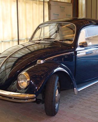 volkswagen maggiolino 1969   11D2