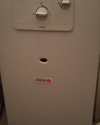 scaldabagno elettrico